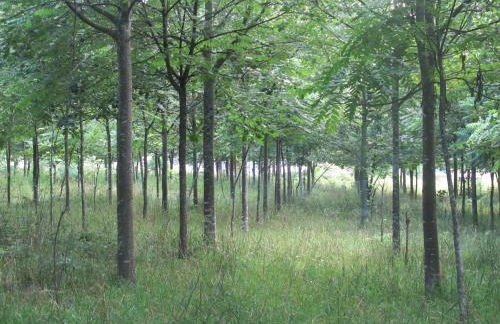 No Meio da Natureza - Turismo No Espaco Rural - Foto 22