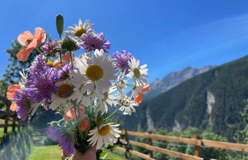 La Maison - Il Riparo del Cervo - Photo 44