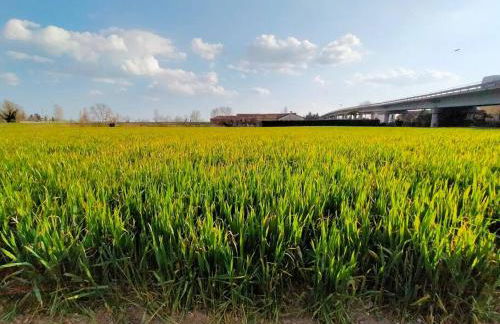 Ca' Molino Giare 1 - Foto 14