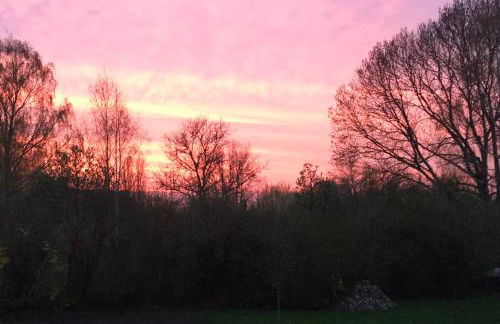 Landidyll - Bauernhaus Ländchen Bellin - Photo 51