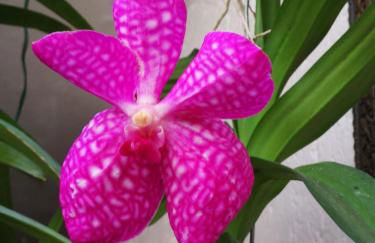 ALLOGGIO S.ANNA - Foto 1