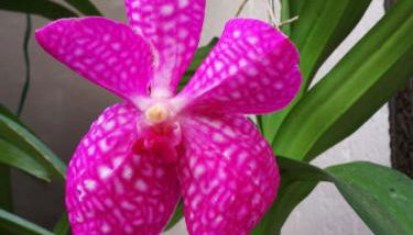 ALLOGGIO S.ANNA - Foto 1