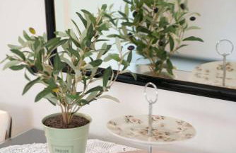 Messini Agrilia Residence - Foto 7