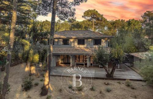 La Cabane du Cap Ferret - Foto 1