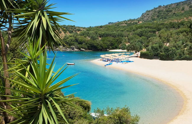 White Orchid Luisia in Vola - Foto 28