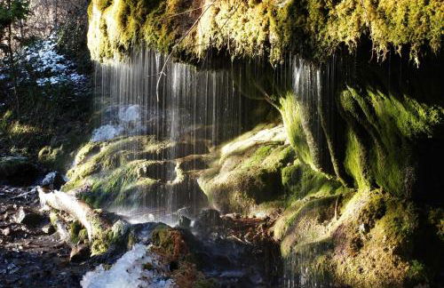 Ferienwohnung Wälderliebe - Photo 31