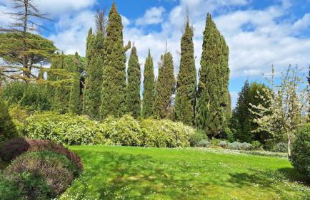 Villa with pool in Montepulciano - Foto 14