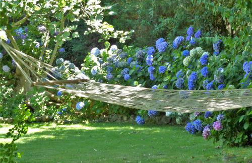 El huerto de Candeleda - Foto 25