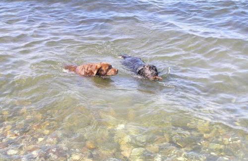 Holiday home with 3 bedrooms - Foto 20