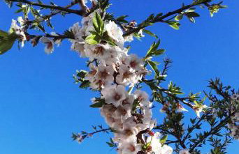 Apartments Dvorski - Photo 22