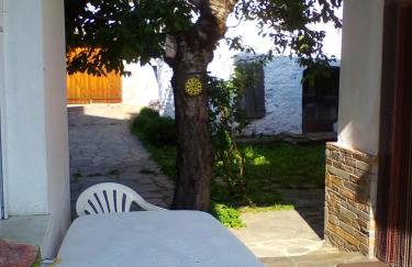 Ginî Viñis - Foto 26