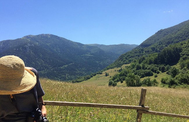 Tour di un giorno a Mirepoix, Montségur, Camon. Tour privato da Carcassonne - Foto 17