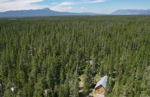 Hooter Hollow by KABINO Fire Pit Big Driveway SmartTV Grill WiFi - Foto 36