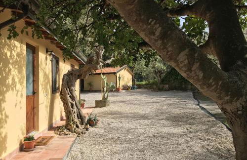 Bouganville in Villa Greco - Foto 49