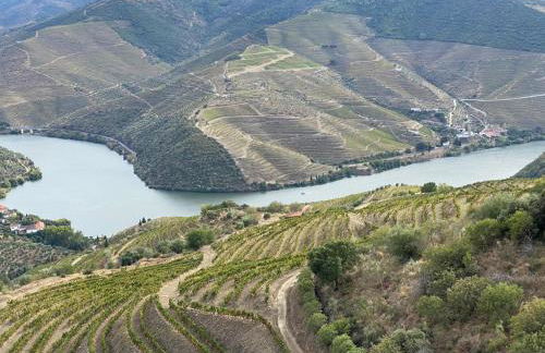 Casa do Beco B&B Douro - Guest House - Foto 67