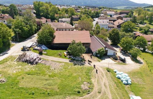 Schwarzbauernhof - Foto 13