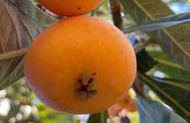 A Casa di Ale - Foto 32