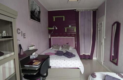 Maison entière 5 chambres à 10mn à pied de l'entrée principale du Circuit 24h Du Mans - Foto 16