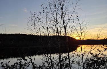 Ferienhaus 265 am Zeulenrodaer Meer - Photo 23