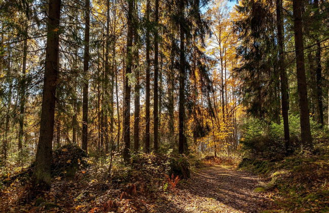 Peace and Privacy Travel - Aulanko Lake Hide-out - Foto 15