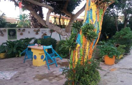 Zagara di Sicilia - Foto 130