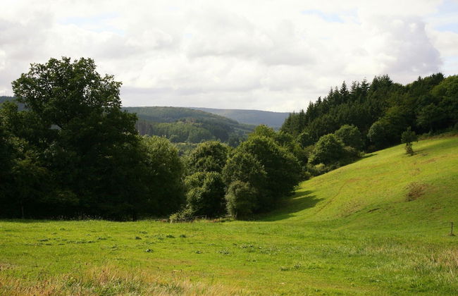 Cozy Holiday Home in Lesterny near Lake - Foto 18