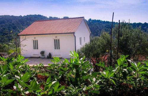 Apartments Frano Ropa - Foto 29