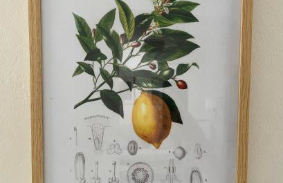 Relax under the mulberry tree - Foto 42