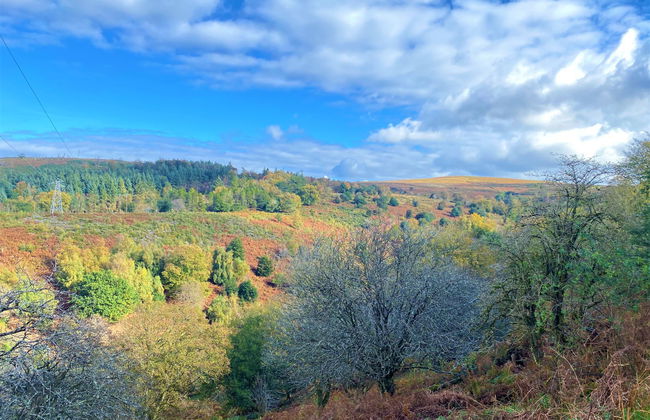 Moonfleat Cottage - Foto 30