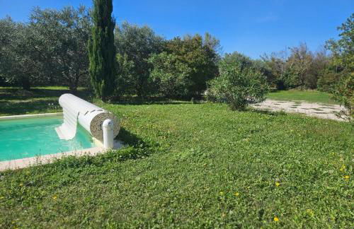 Les oliviers - Foto 3