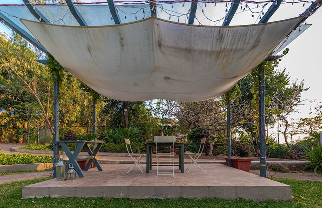 The Lighthouse - Photo 79