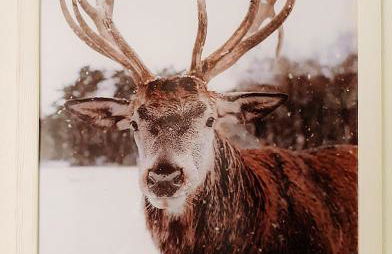 Borgo Castelluccio Country House - Foto 24