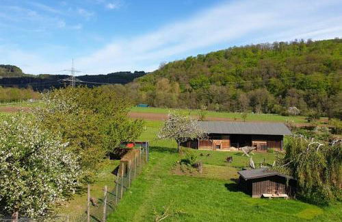 Oma Lina Haus - 4 SZ 2 Bäder großer Garten und Infrarot-Sauna - Photo 21