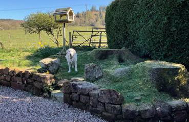 Heron Lodge, edge of Mabie Forest Dumfries - Photo 37