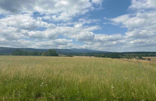 Przystanek IZERY - Foto 24