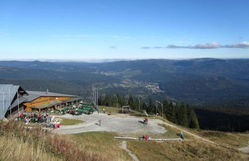 Ferienhaus Zopfhäusl - Foto 49