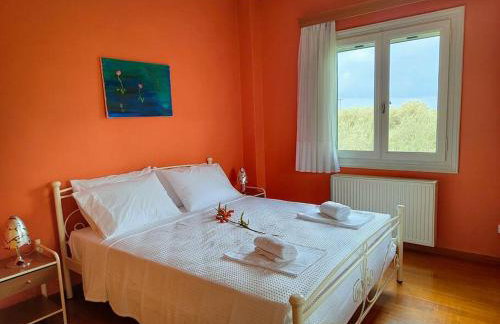 Olive Garden - Foto 15