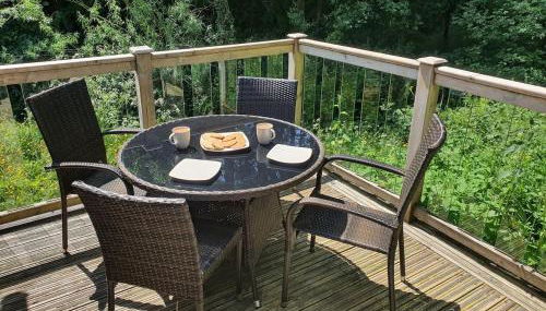 Swn Y Nant Lodge with hot tub Brecon - Foto 4