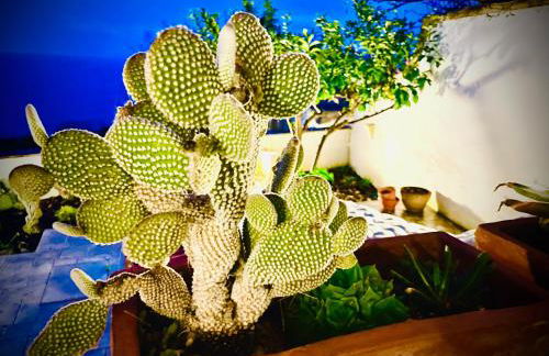 CASA AL MARE RIO b&n - Foto 15