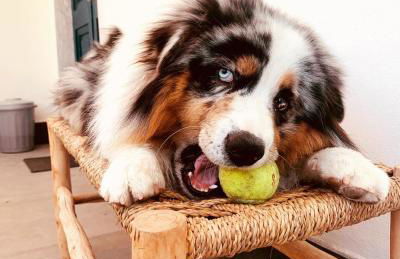 La Casetta di Dante - Foto 20