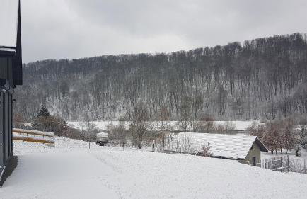 Nie Przeciągaj Struny - Foto 4