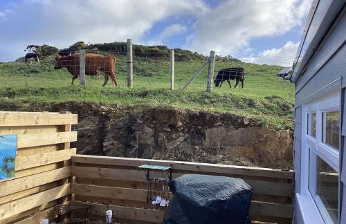 Adorable private couples retreat with hot tub - Photo 21