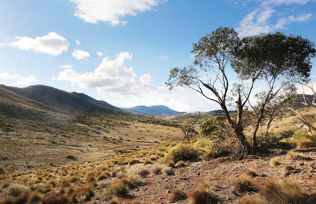 Pichi Richi Park - Foto 16