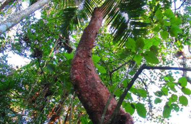 Refúgio dos Valdenses - Photo 34