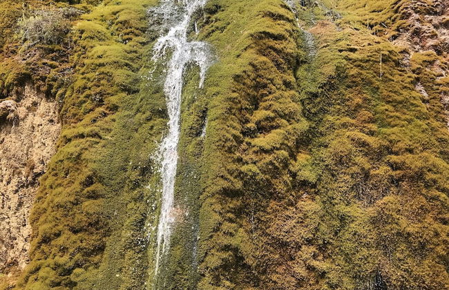 Detached Bungalow With Dishwasher, in a Green Area - Foto 67