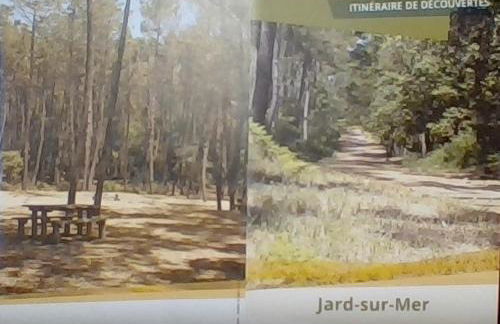 Les Petites Jardaises,6-8pers, tout à pied, plages, centre ville, port - Photo 23