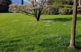 Nona lakeside apt at patrician Villa - Foto 45