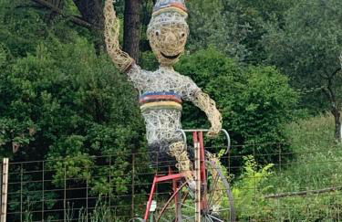 Il gatto e la volpe 1 - Foto 6