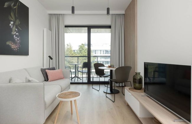 Art Forrest 33 K in Rogowo - Photo 6