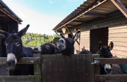 The Old Piggery - Foto 22